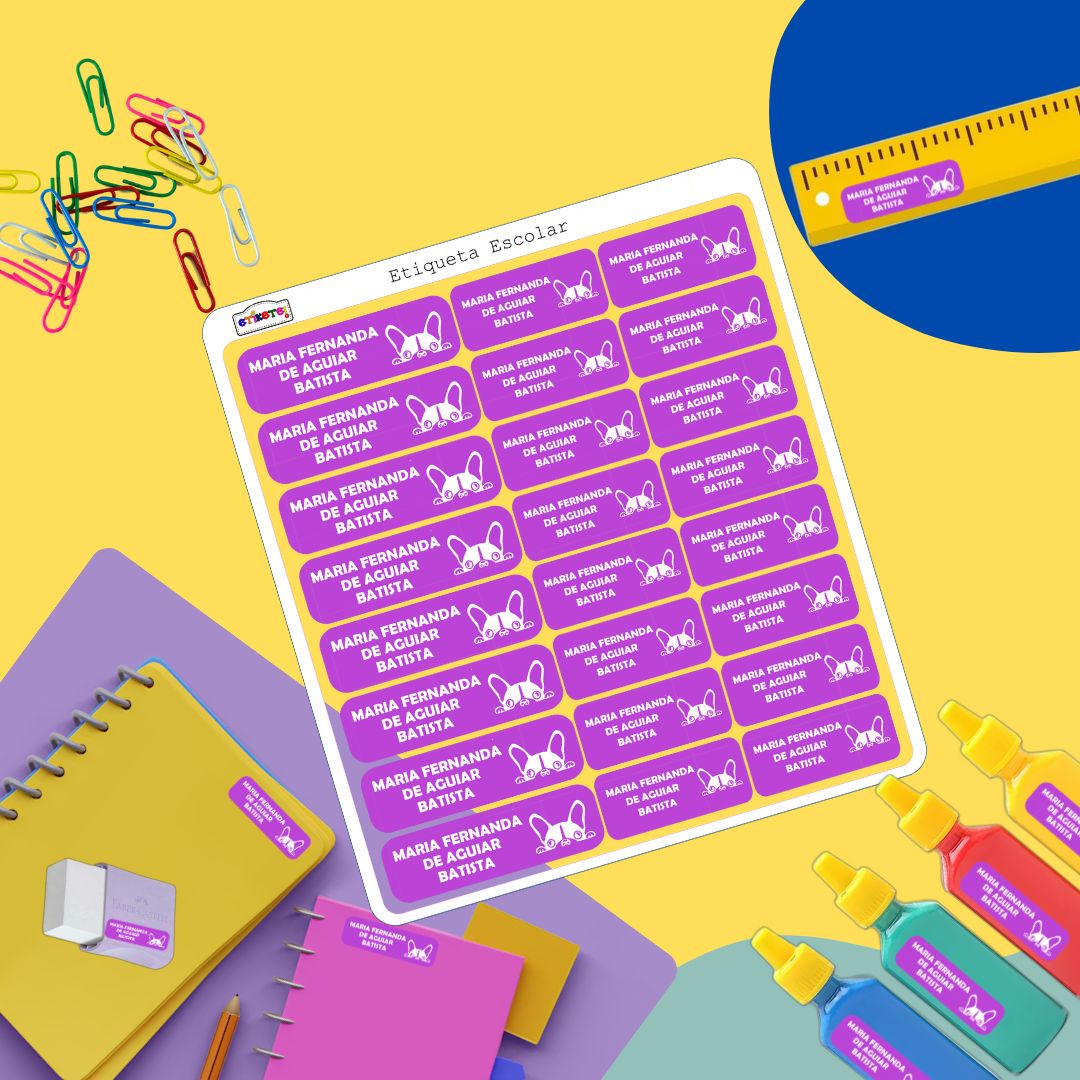 kit Etiqueta vinil retangular  para materiais escolares e objetos - tema Menina.