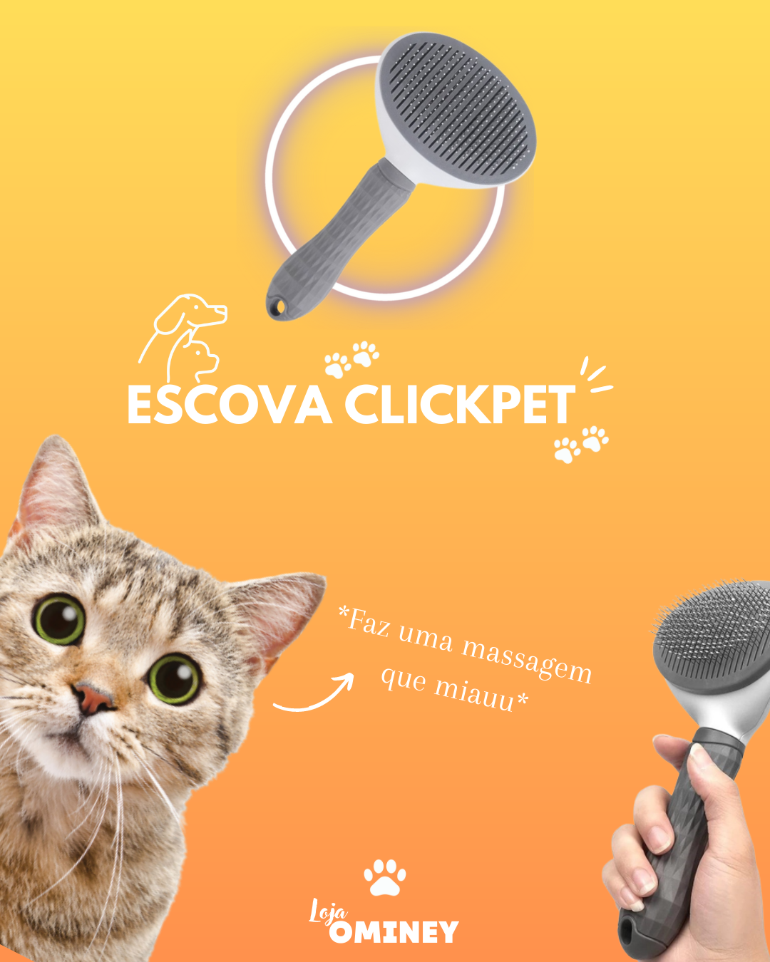 6698005d5e498.png