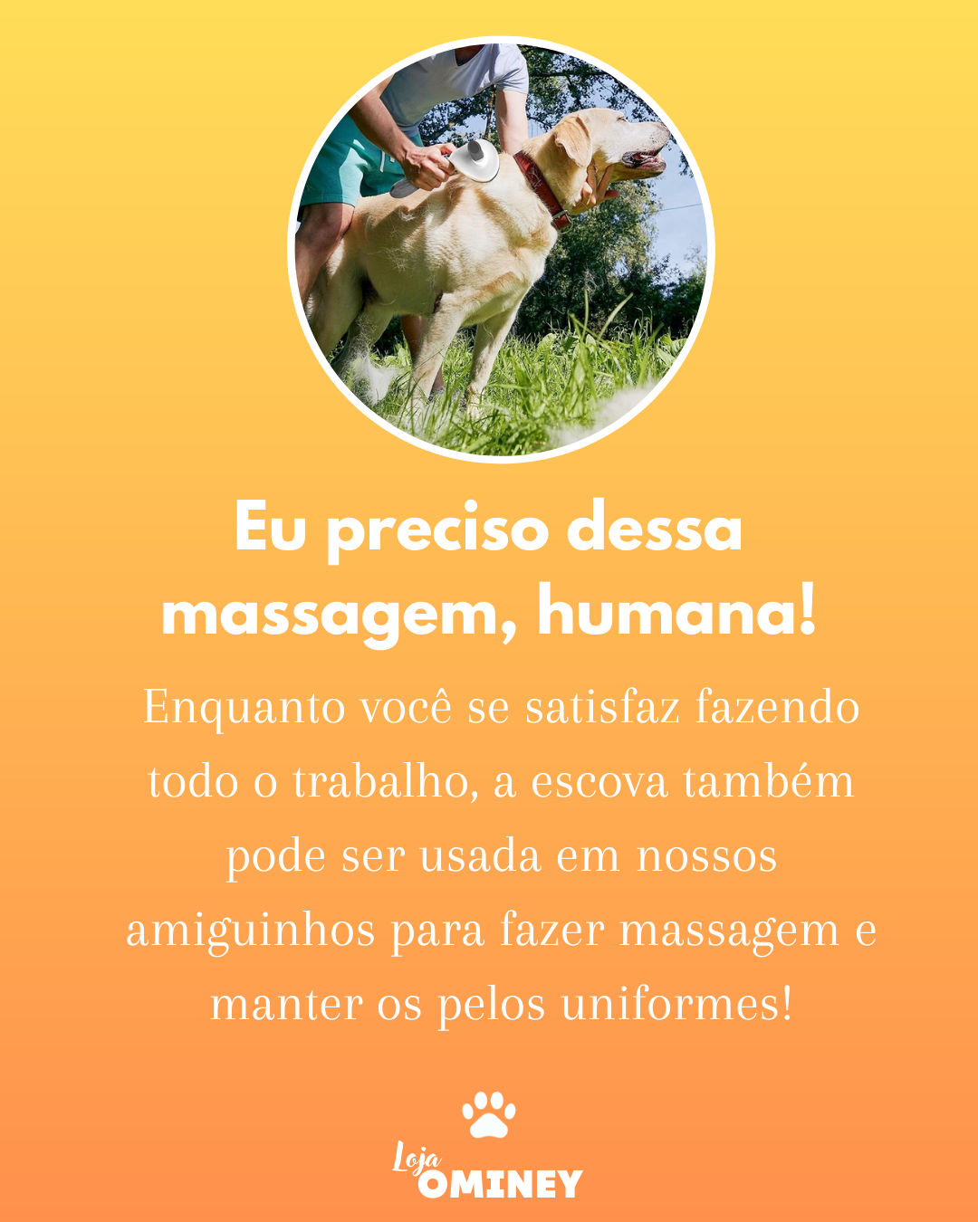 669800701aaf1.png