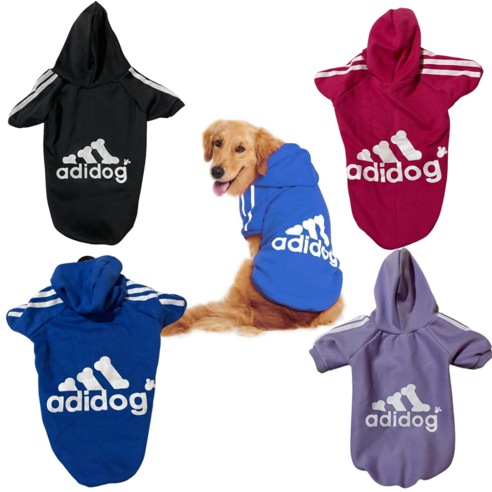 66b91c8c19d48.png