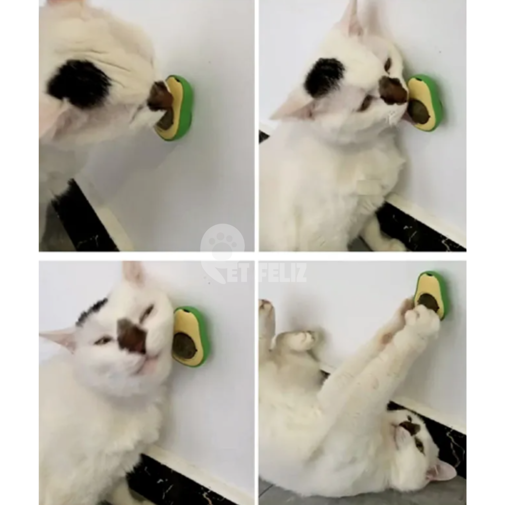 66da5b5f5f3b7.png