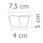 66e09212e25db.jpg
