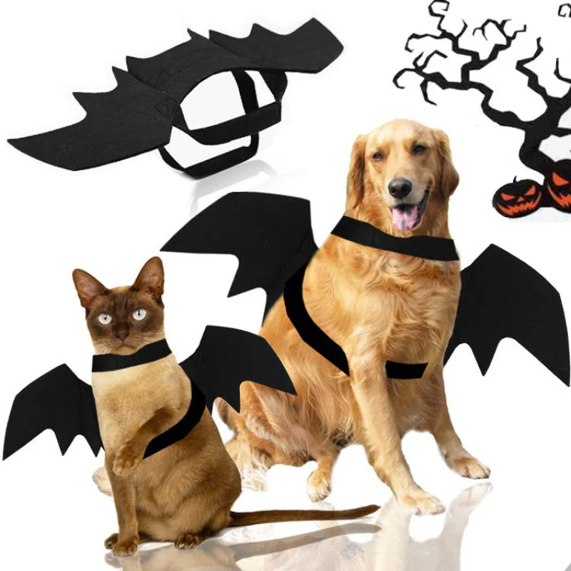 670c37f52035d.png