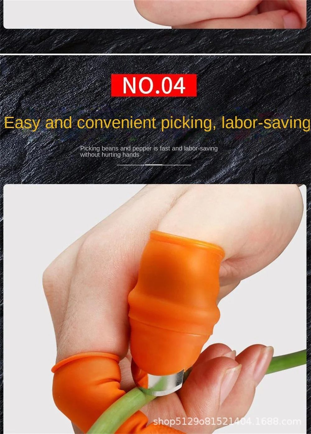 6715b26f6ad28.jpg
