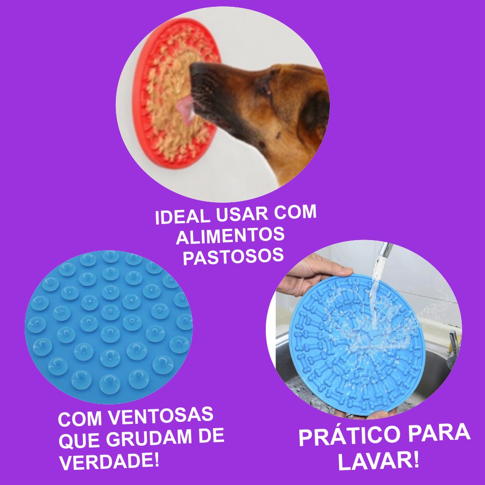 67464593c1d0e.jpg