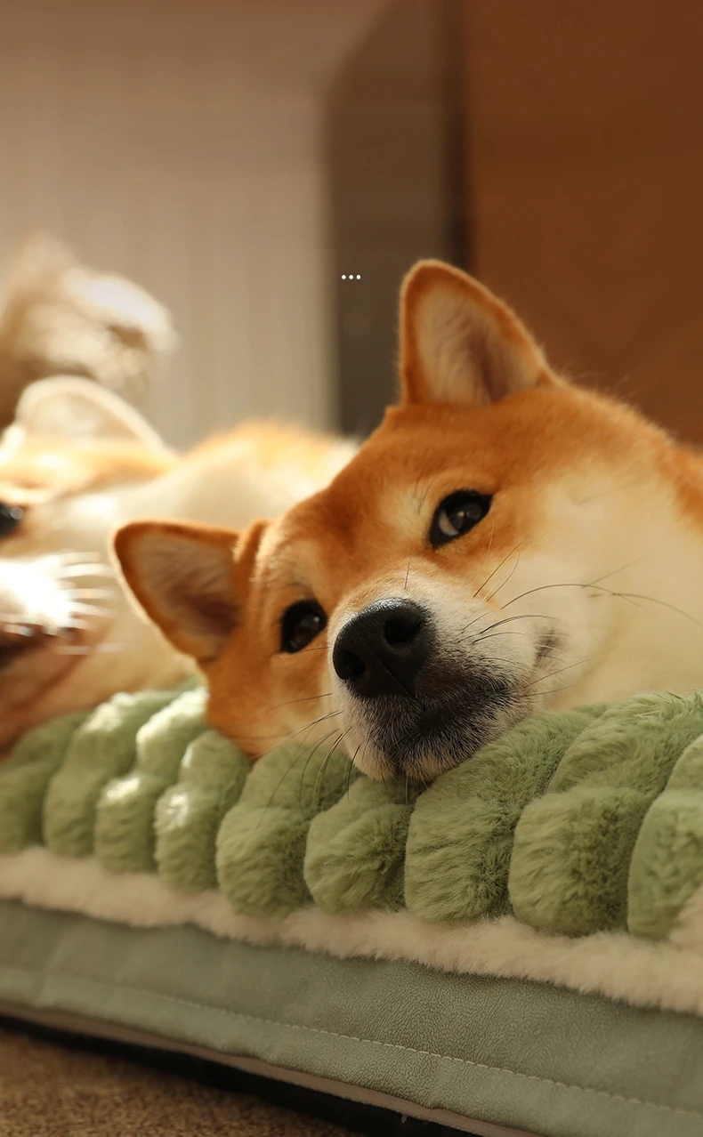 67476d097304e.jpg