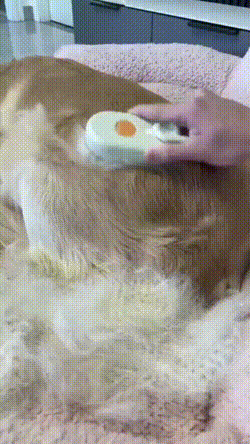6798d720b5ee4.gif