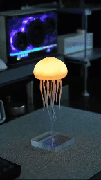 67998cdd04530.gif