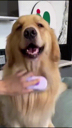 679c22d5e2291.gif