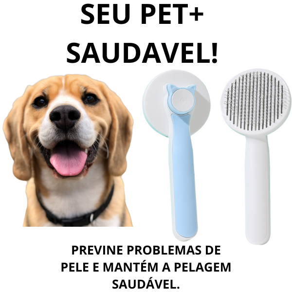 67a2ad2a30496.png