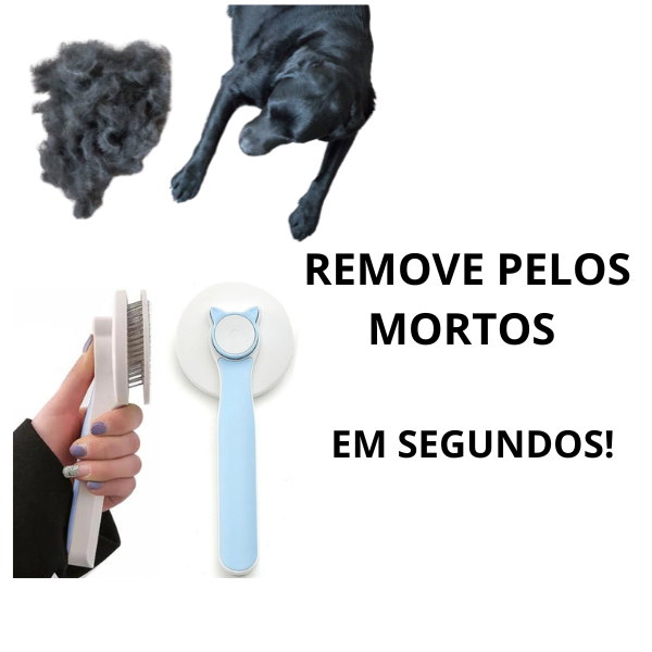 67a2ae3b79e58.png