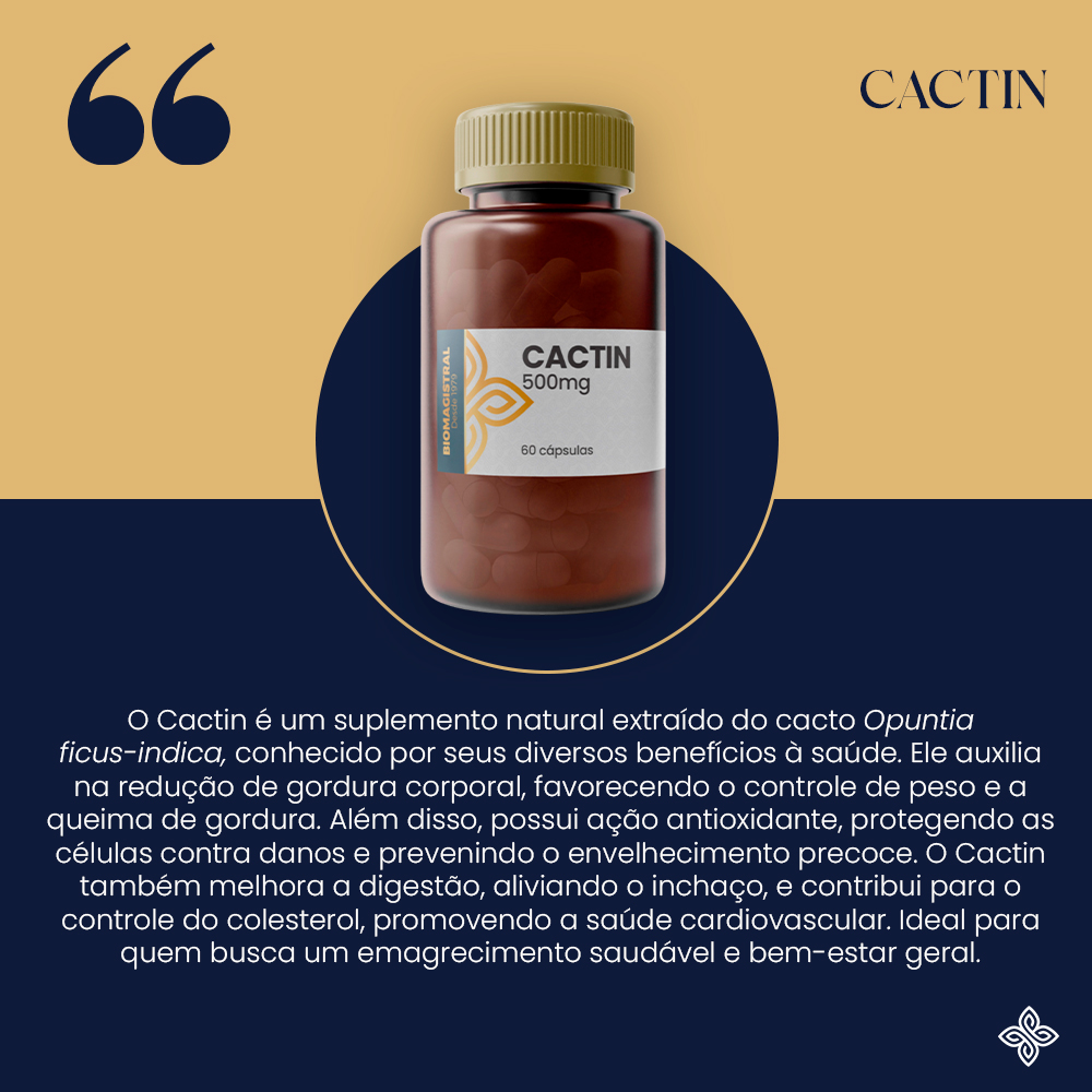 67cee3bdca789.jpg