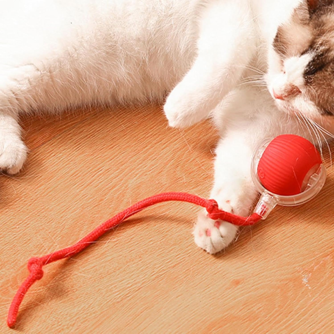 67d1a6524961d.png