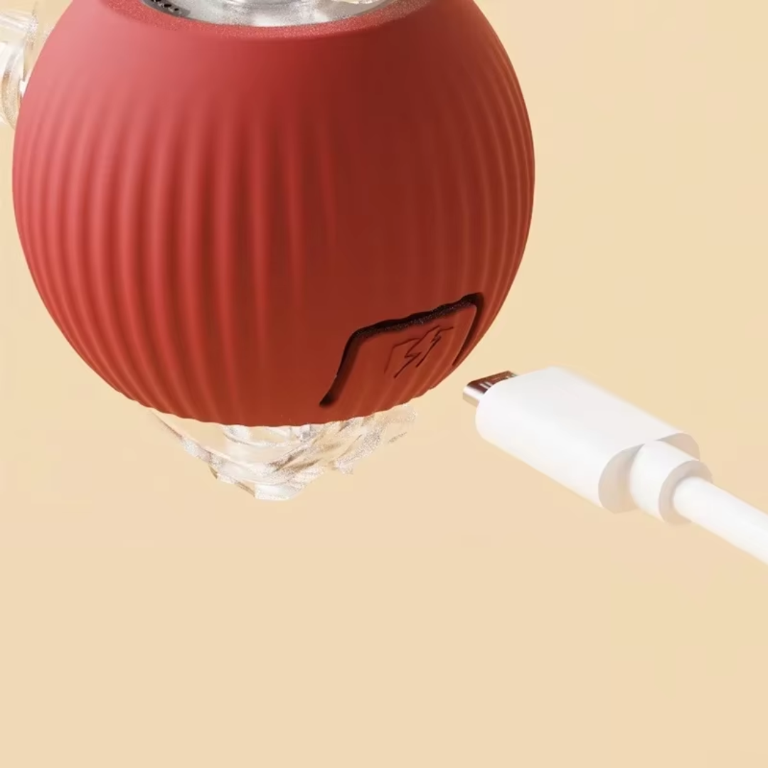 67d1a836979ff.png