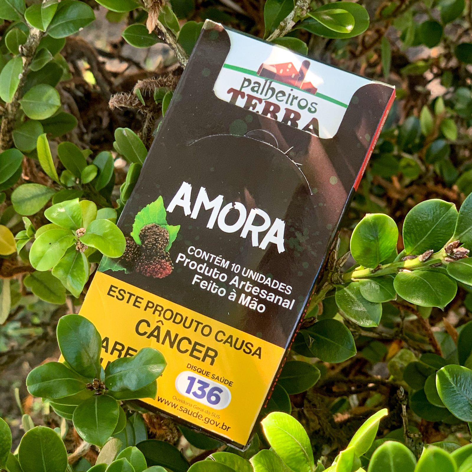 Cigarro de Palha - Terra Tombada