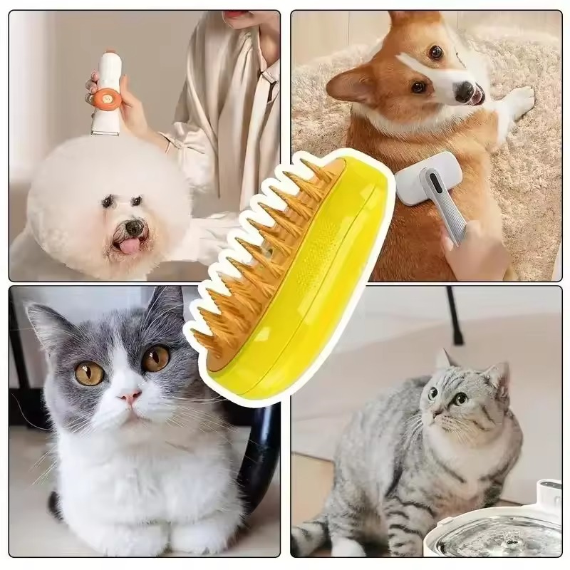 67e19eea3868f.jpeg