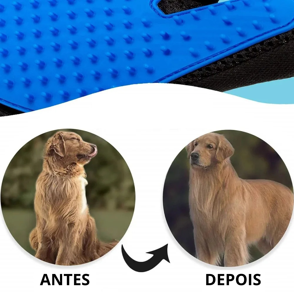 67e1f1475a3ba.png