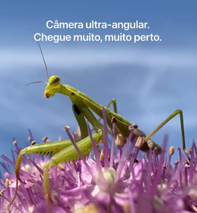 67e69924d3999.png