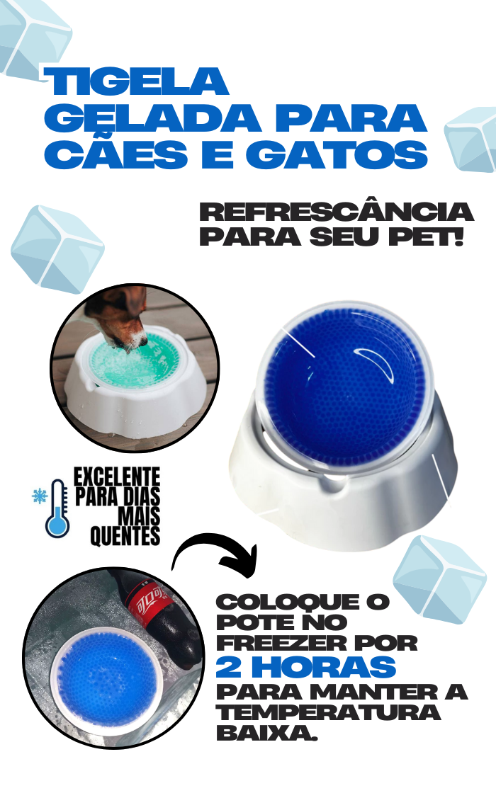 67f06ccc4db4f.png