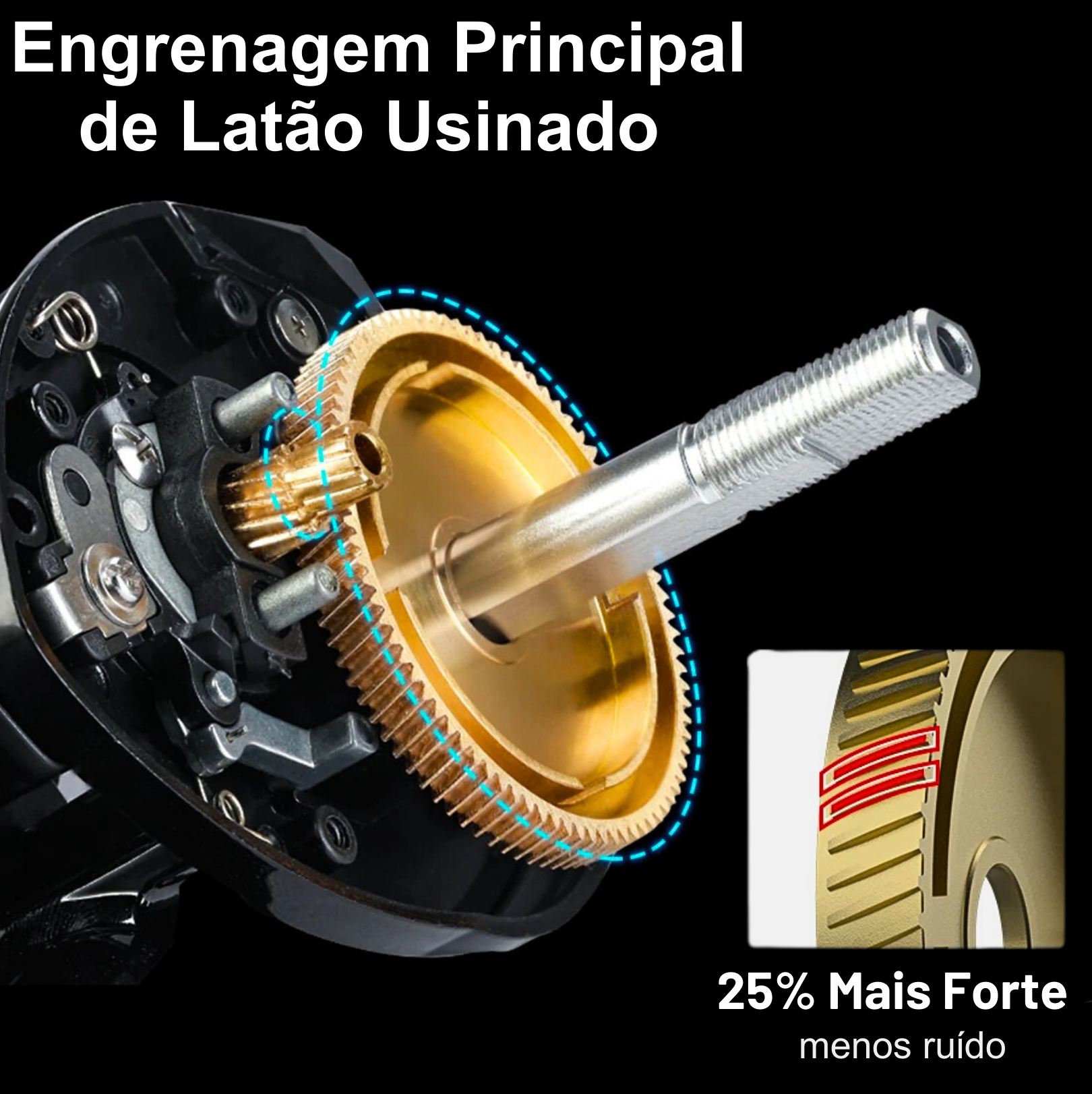67f9452ba7ec7.jpg
