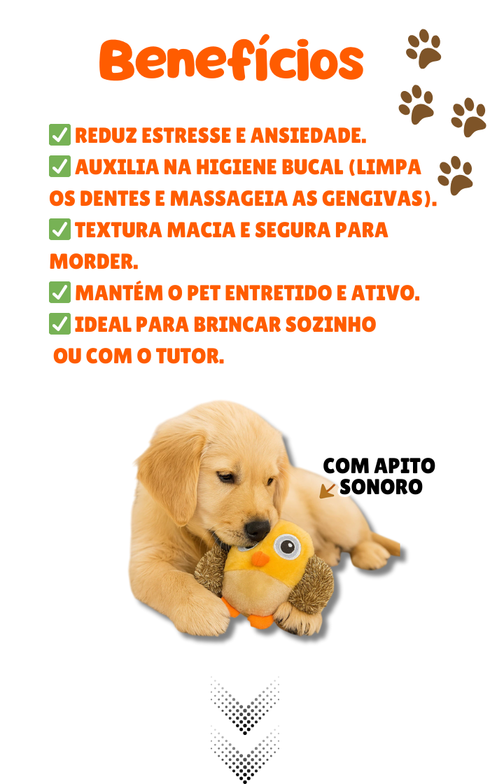 6802d1534b4bd.png