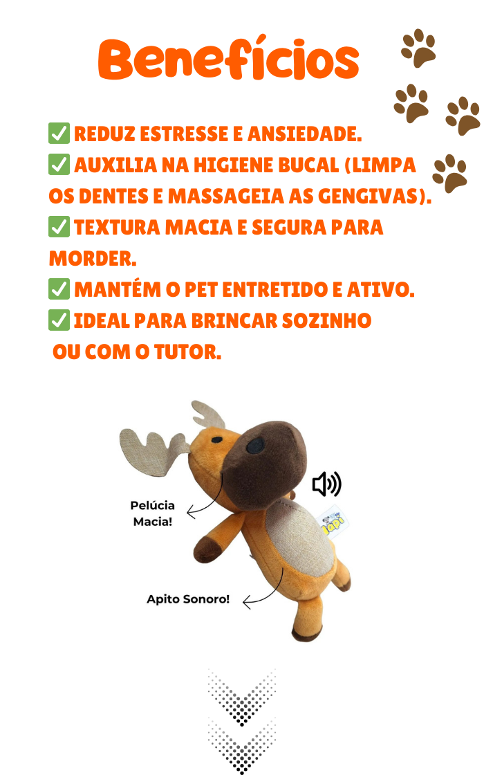 6802d69a975da.png