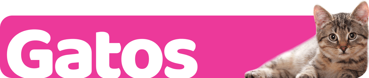 681a133329b23.png