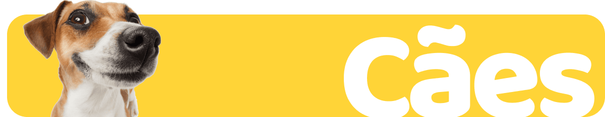 681a138c0f80f.png