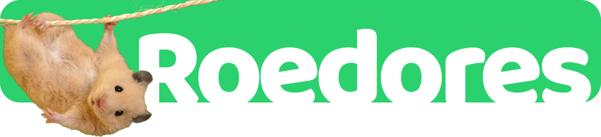 681a1448c3485.png