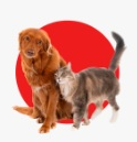 681fedcf67303.png
