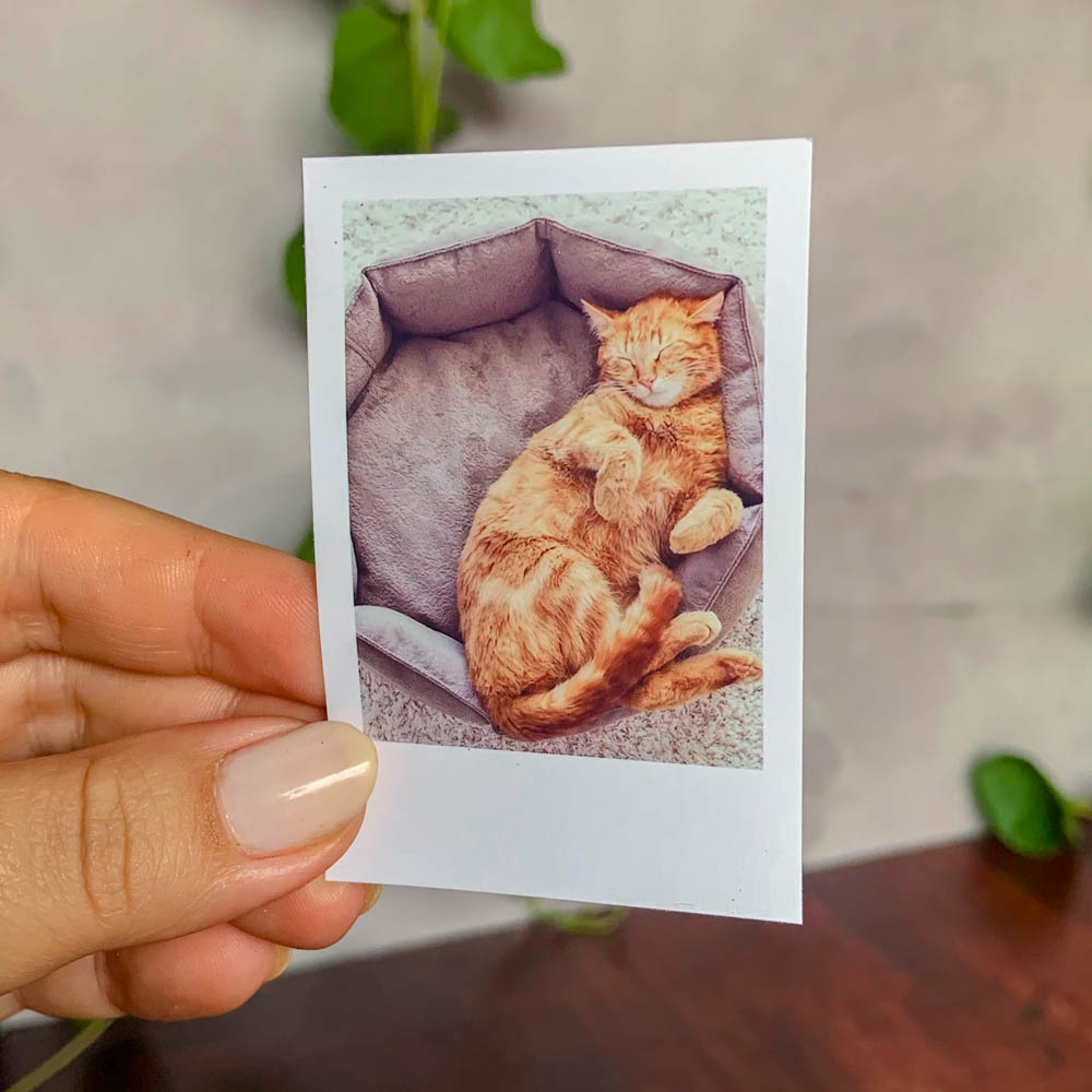 4 Polaroids Mini - 5 x 7 cm