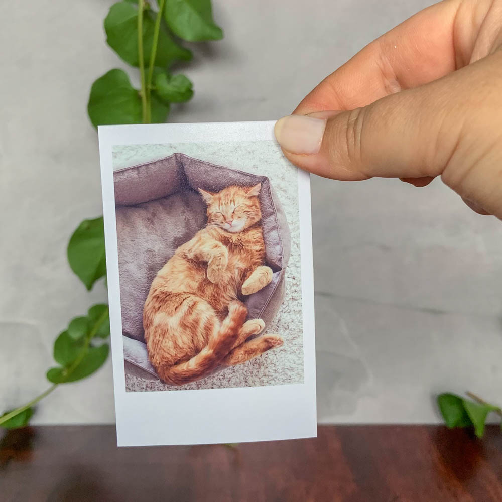 2 Polaroids Clássicas - Vertical - 6 x 9,5 cm