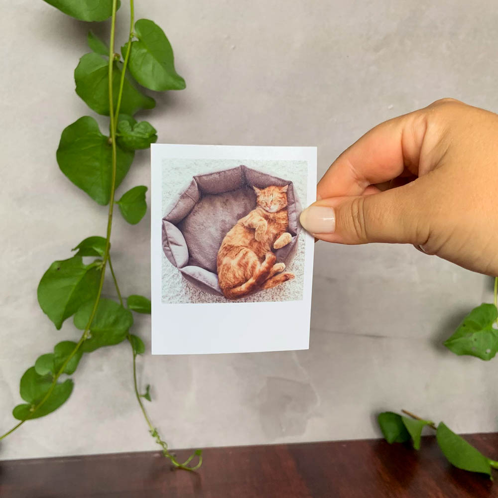 2 Polaroids Clássicas - Quadrada -  7x9 cm