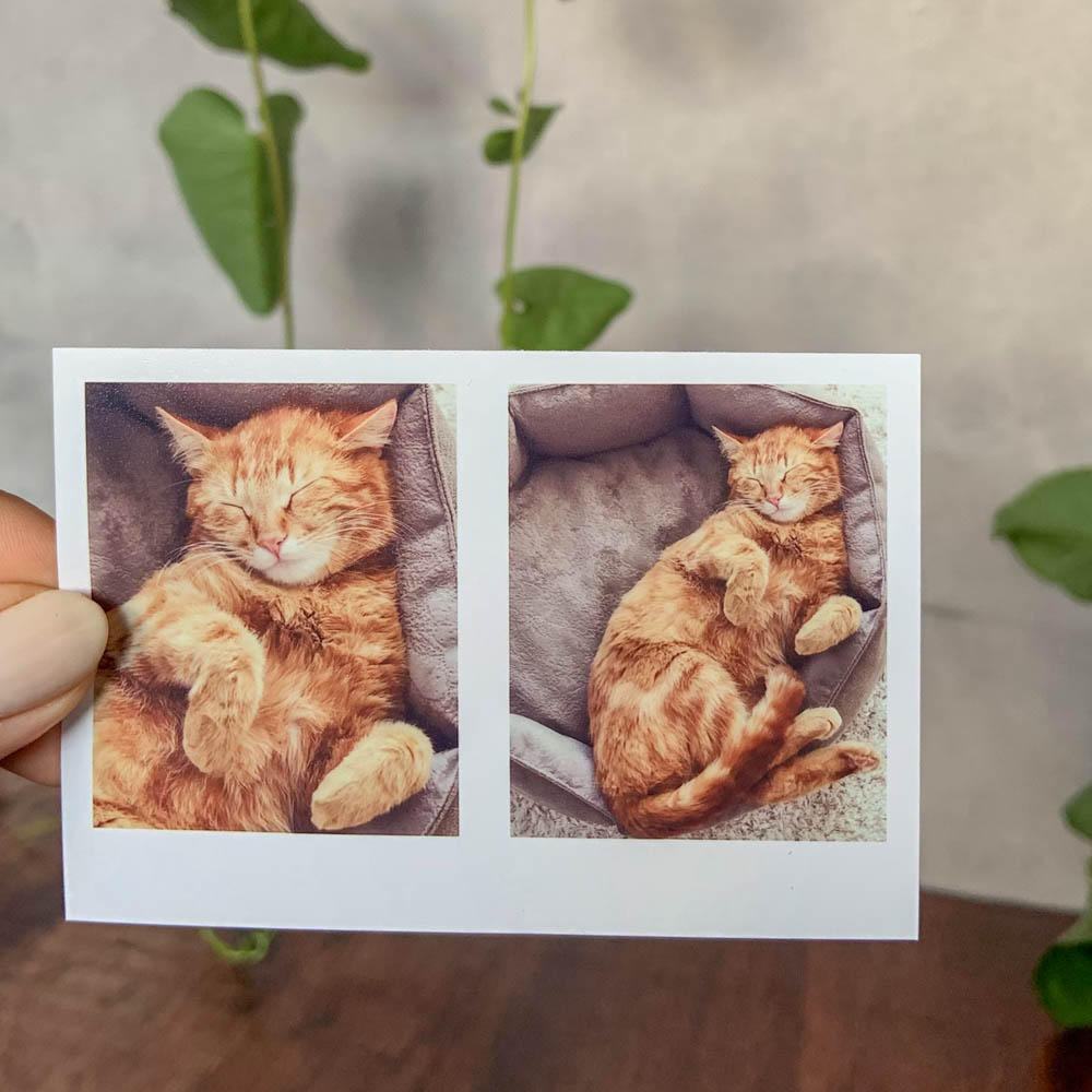 2 Polaroids Duo - 7x10 cm