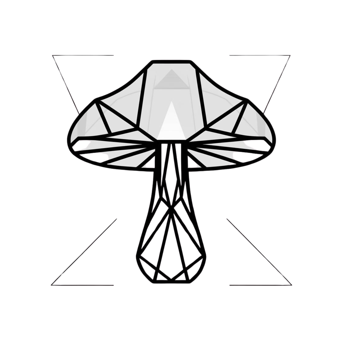 6827ccee1823c.png