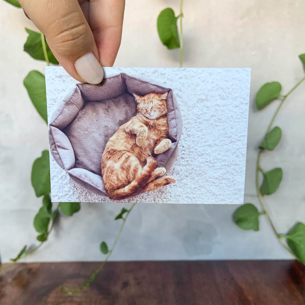 2 Fotos Formato Tradicional - 7 x 10 cm