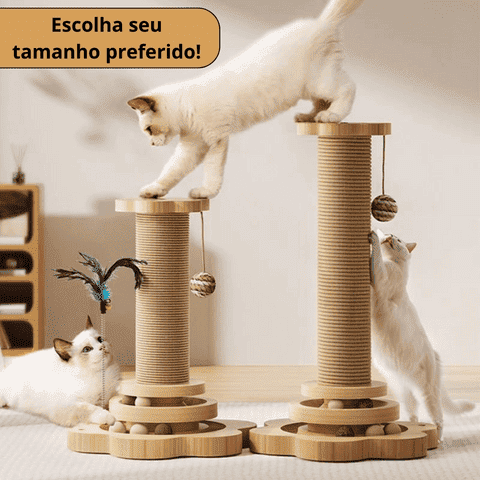 684701b1c14c4.png