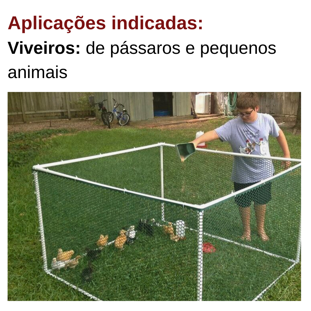 6849f1ff55a77.png