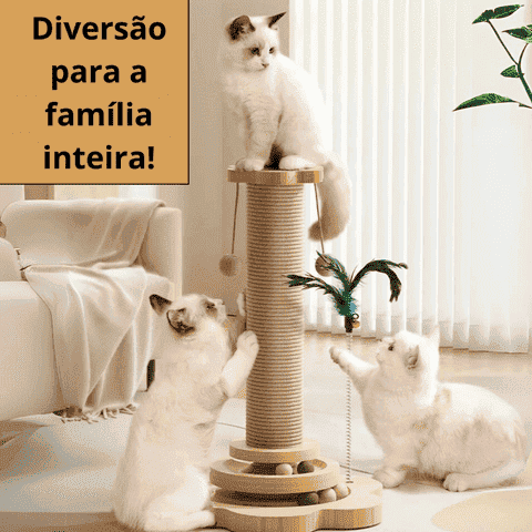 687860d73b37d.png