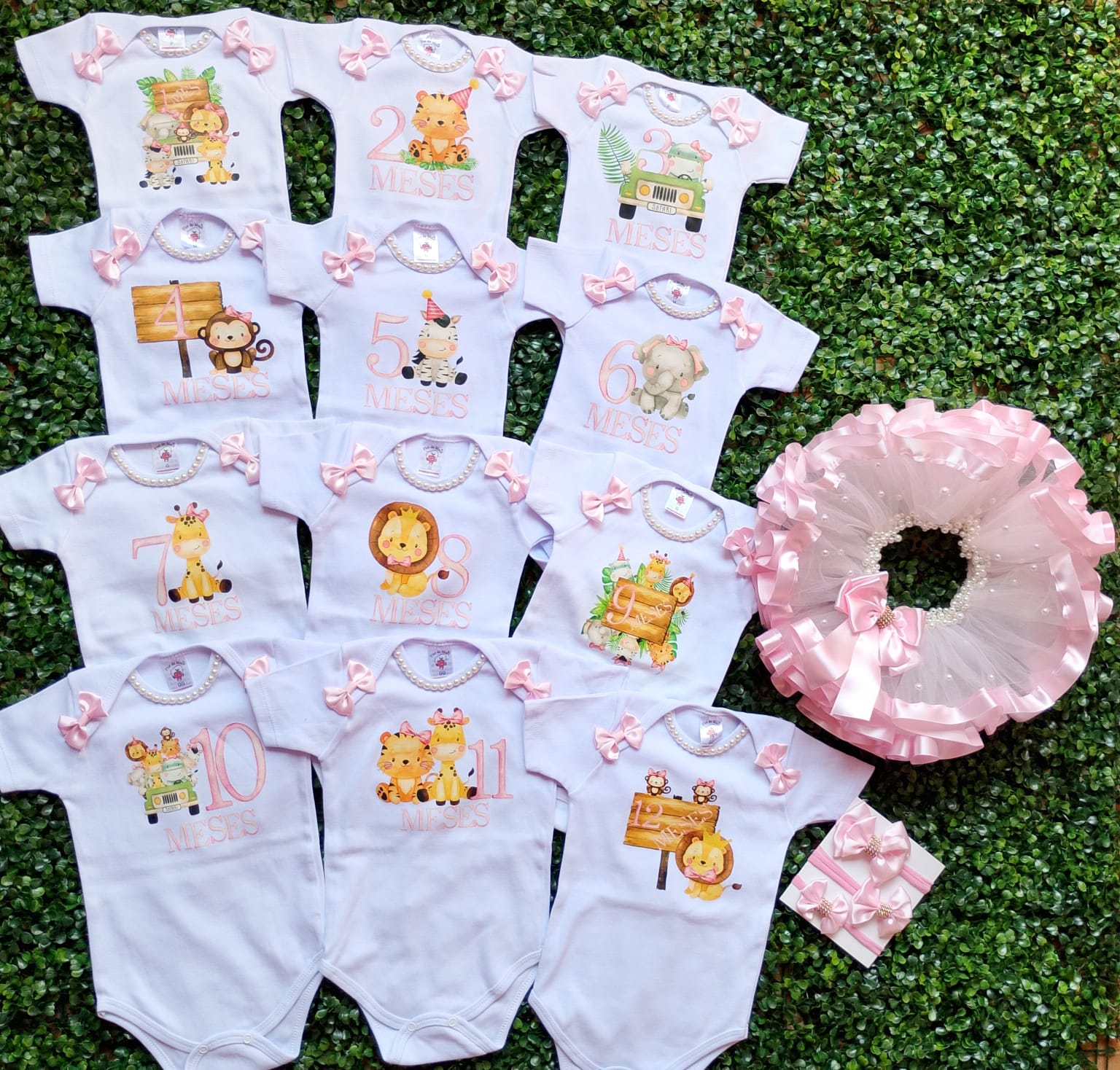 Mesversário Safari Menina Luxo