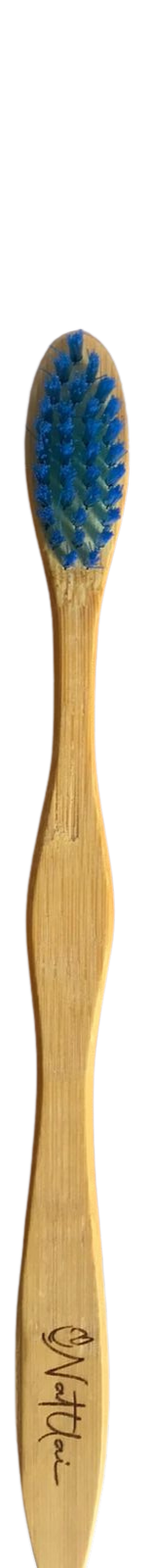 ESCOVA DE DENTE ECOLÓGICA (ADULTO)