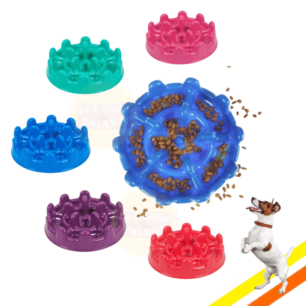 6896cce13cac7.png