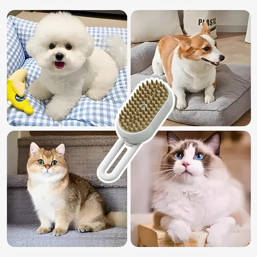 689ac6cd6767c.png