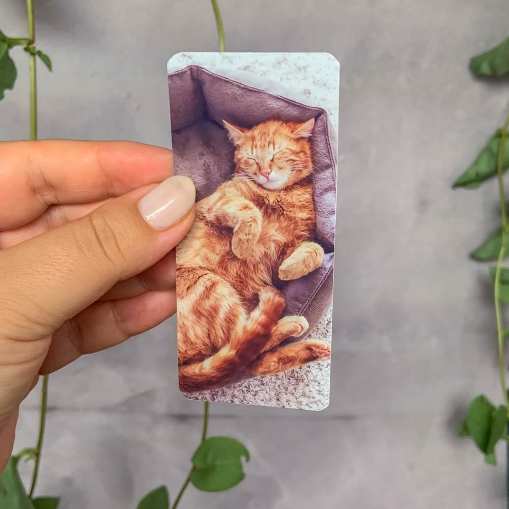 3 Fotos Pinterest Vertical Alongada 4,5 x 9,8 cm