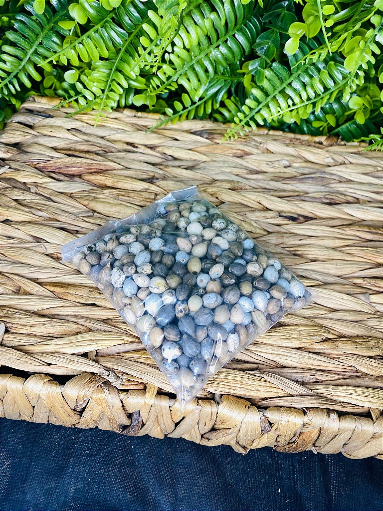 Lágrima de Nossa Senhora 100g