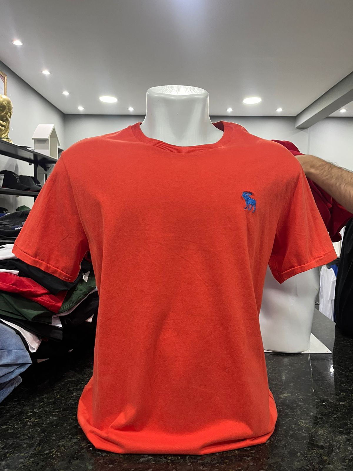 Camiseta Abercrombie Moose Basic Colors 2