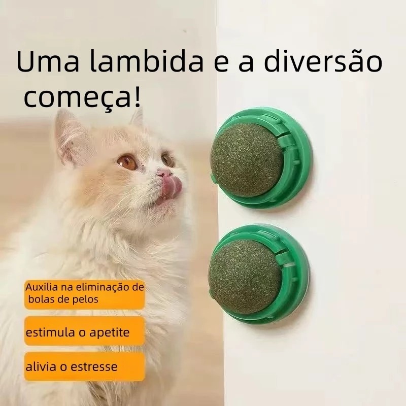 68d2a5d1339bb.jpeg