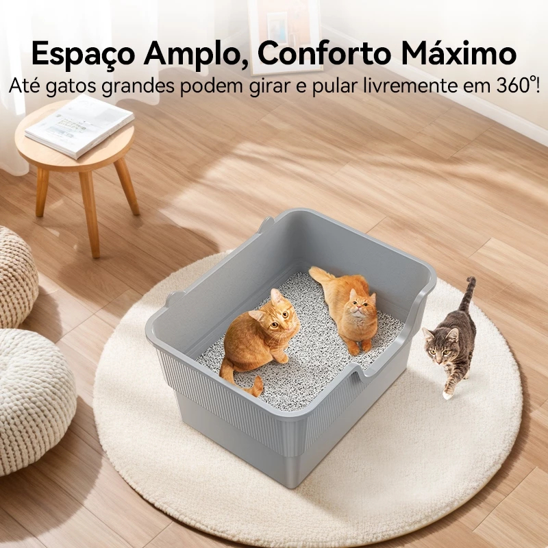 68da997649ed6.jpg