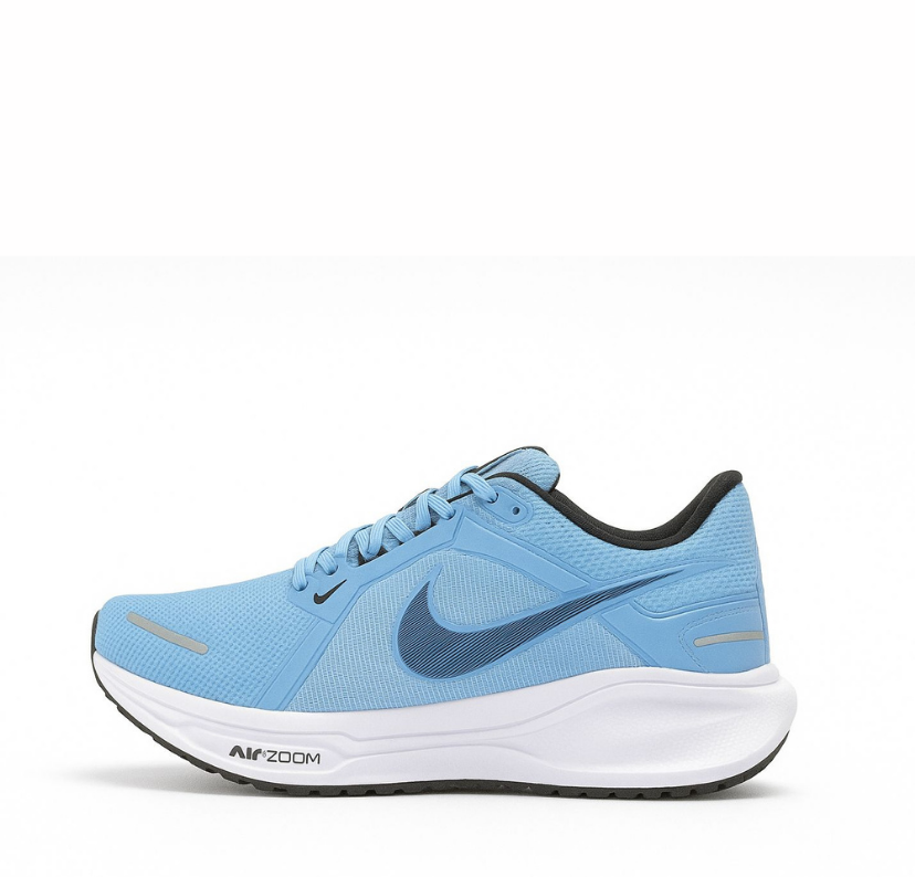 Nike Pegasus 41 (F)