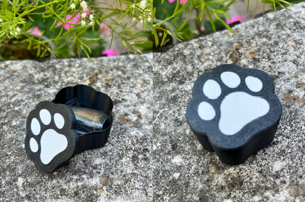 Lembrancinha Caixa Pata